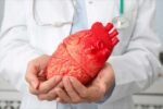 Maladies cardiovasculaires : pourquoi la prévention reste essentielle